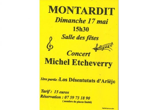 Michel Etcheverry en concert