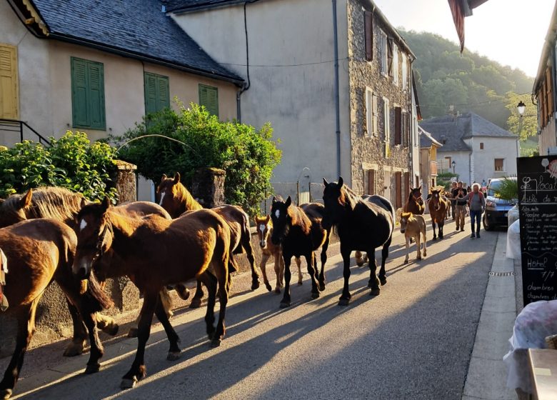 Restaurant l&rsquo;Auberge de l&rsquo;Isard_Saint-Lary