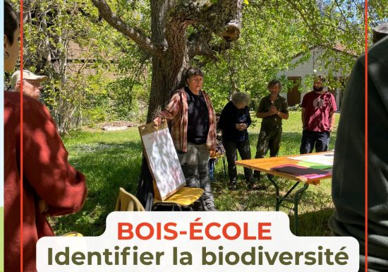 Bois école