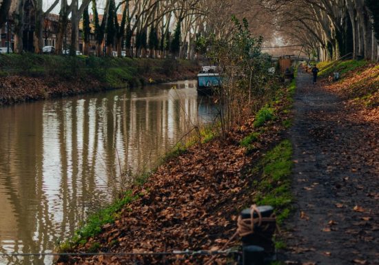 Le Canal du Midi