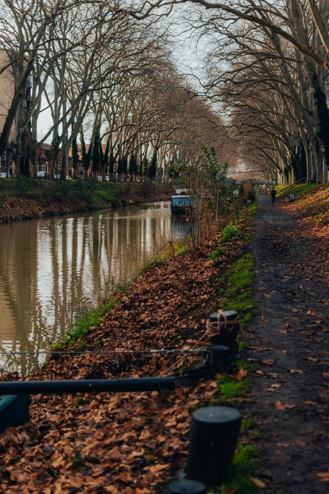 Le Canal du Midi
