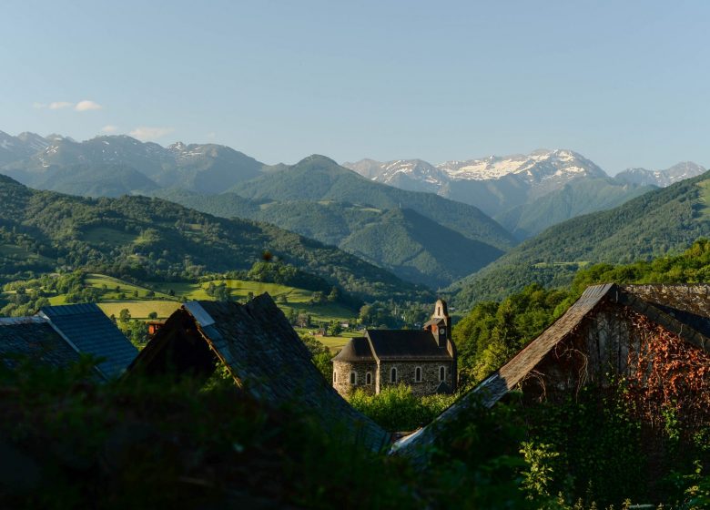 Panorama