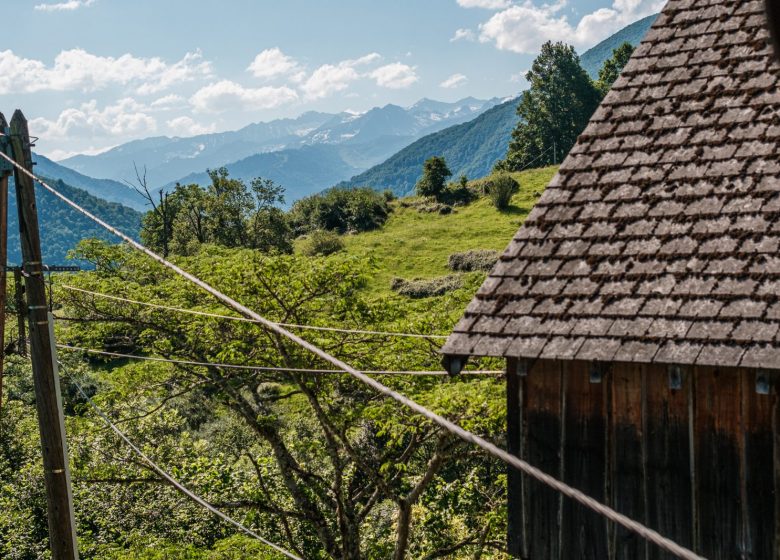 Vue depuis la chambre