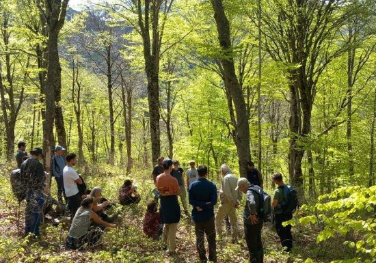 Sensibilisation à la sylviculture en forêt communale