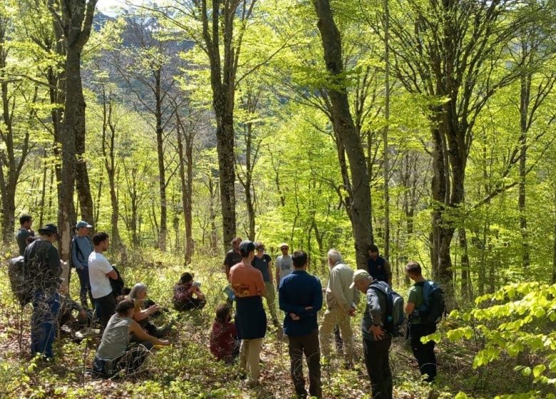 Sensibilisation à la sylviculture en forêt communale_Rimont