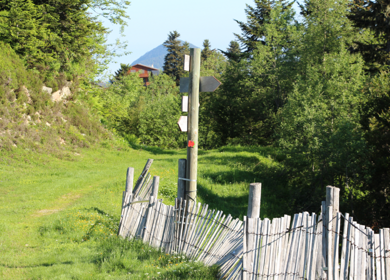 Parcours F – Vallée du Fouillet_Aulus-les-Bains