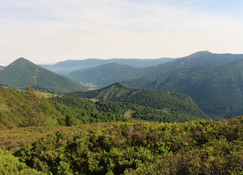 Parcours F – Vallée du Fouillet_Aulus-les-Bains