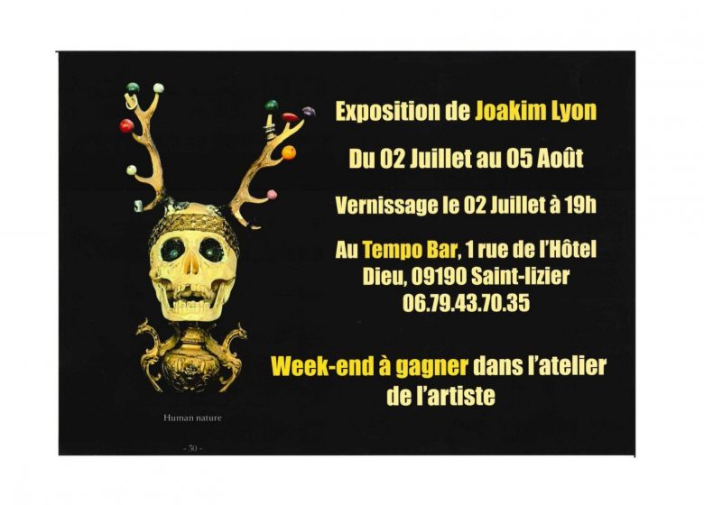Exposition de Joakim LYON_Saint-Lizier