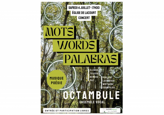 Octambule en concert