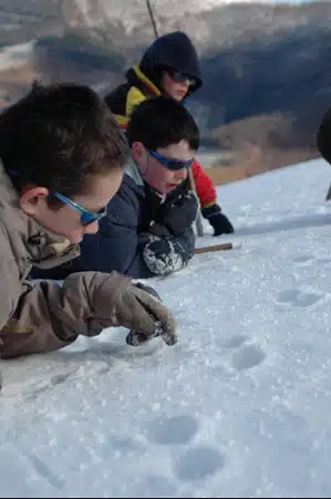 Séjour Montagne d’Ichnologues Débrouillards (8 – 16 ans)