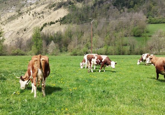 La ferme du Faouré