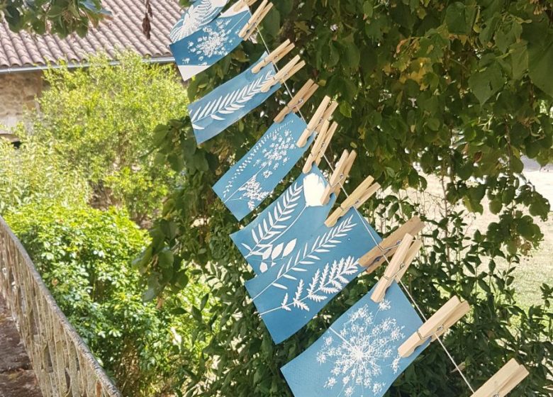 Atelier cyanotype ariège