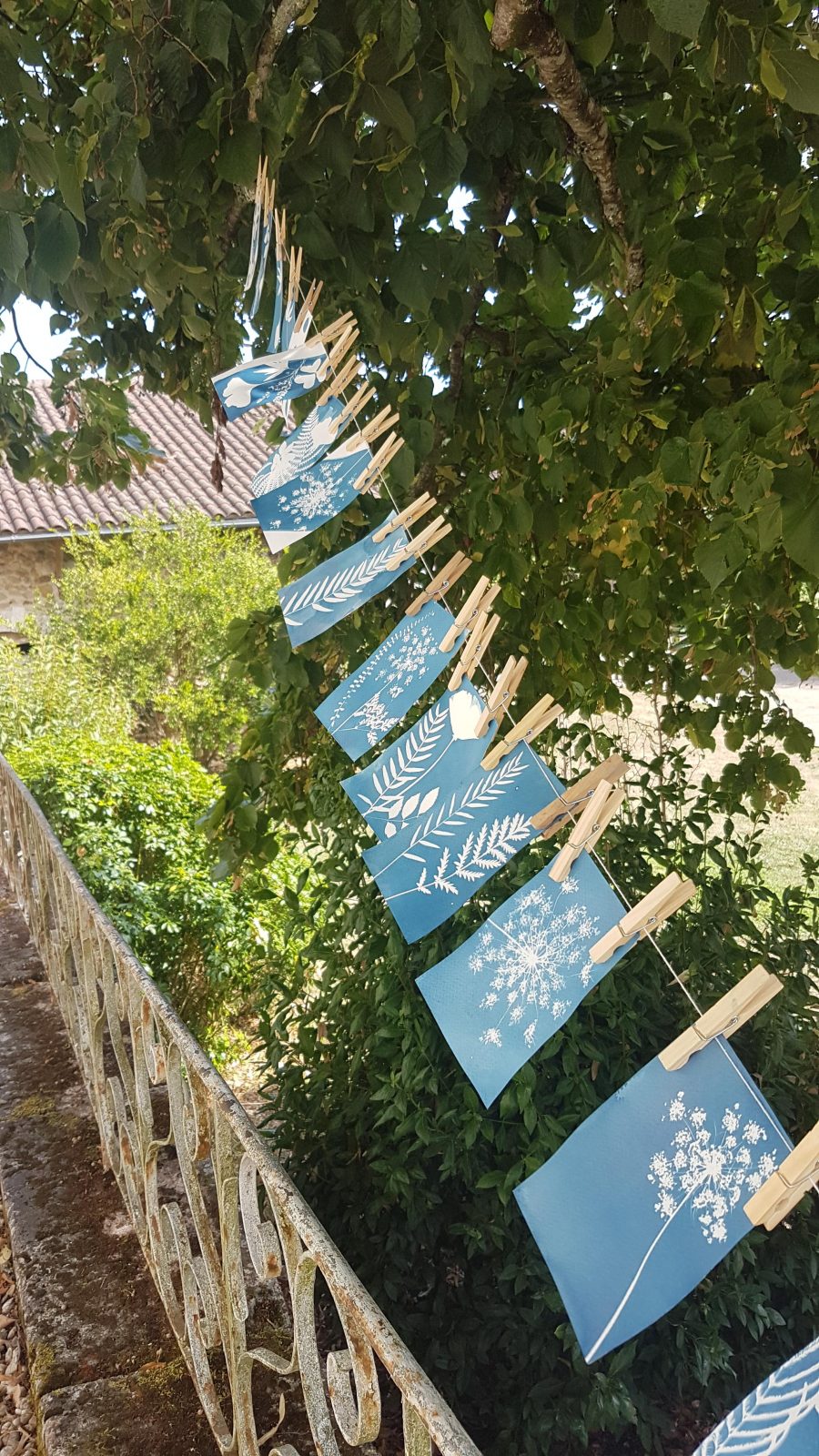 Stage Cyanotype