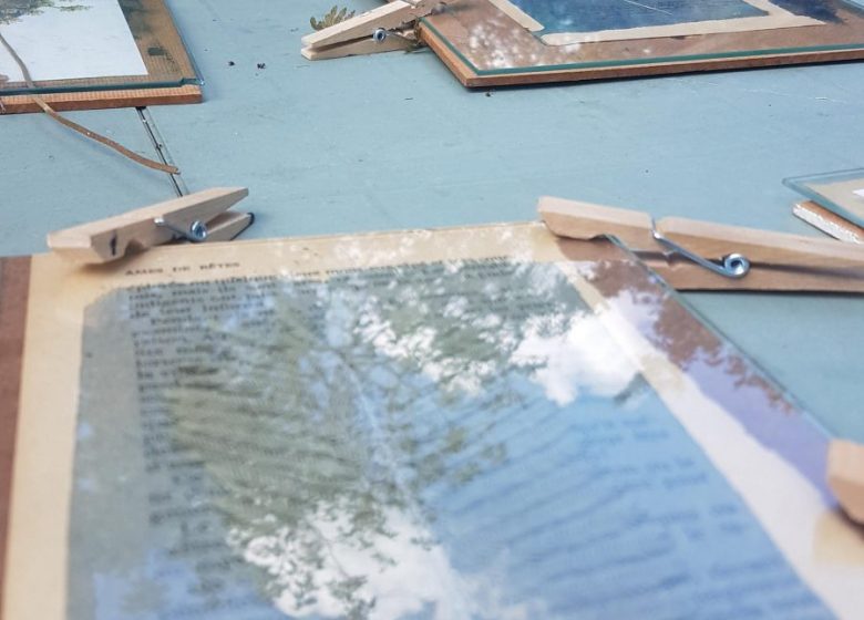 Atelier cyanotype ariège