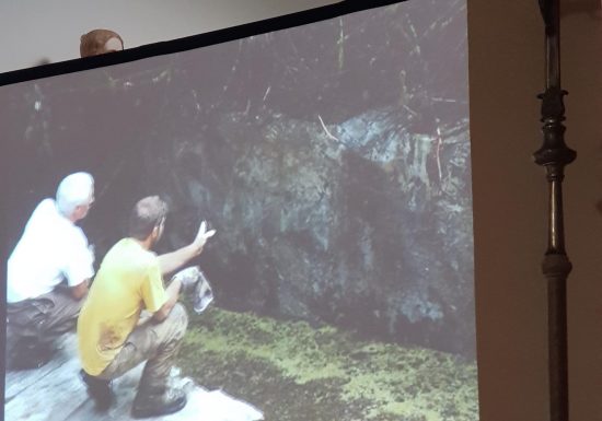 Journées du Marbre 2026 – Projection de film « Le voyage du marbre »