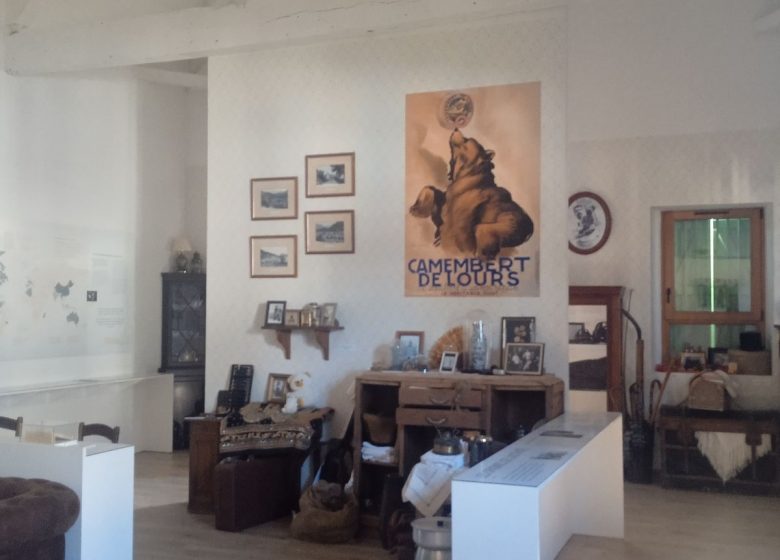 Sur les traces des montreurs d&rsquo;ours