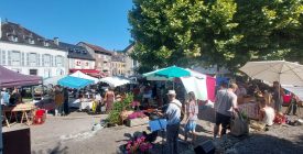 Les Anim&rsquo;s du coin