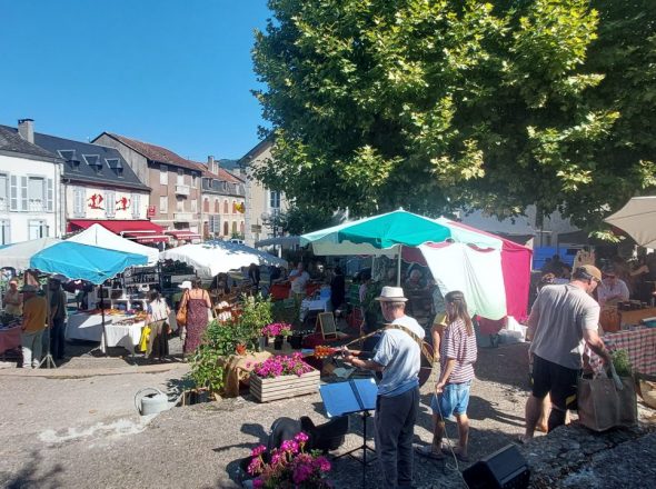 Les Anim&rsquo;s du coin