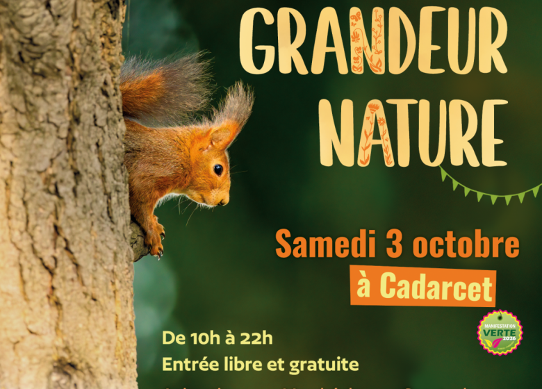Affiche Festival