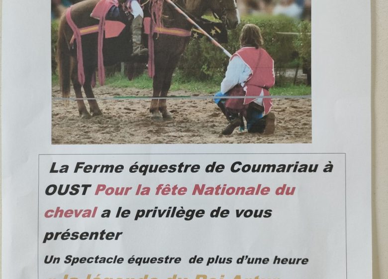 Spectacle Equestre « La Légende du Roi Arthur »_Oust