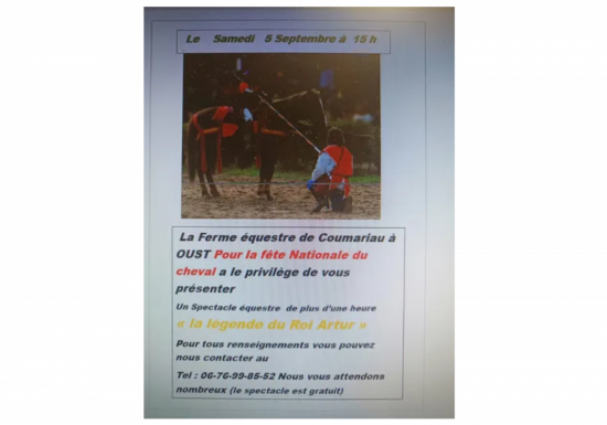 La légende du Roi Arthur