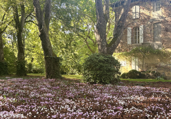 Journées du Patrimoine 2026 : Exposition Passejada poetica