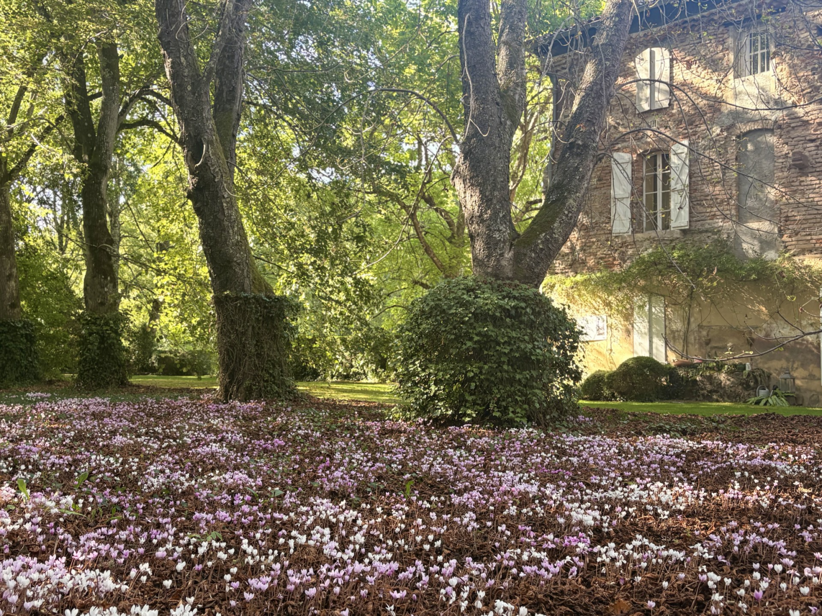 Journées du Patrimoine 2026 : Exposition Passejada poetica