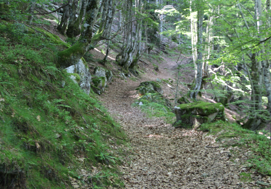 Parcours D – Serre des Auzères