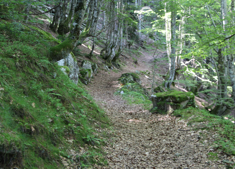 Parcours D – Serre des Auzères_Aulus-les-Bains
