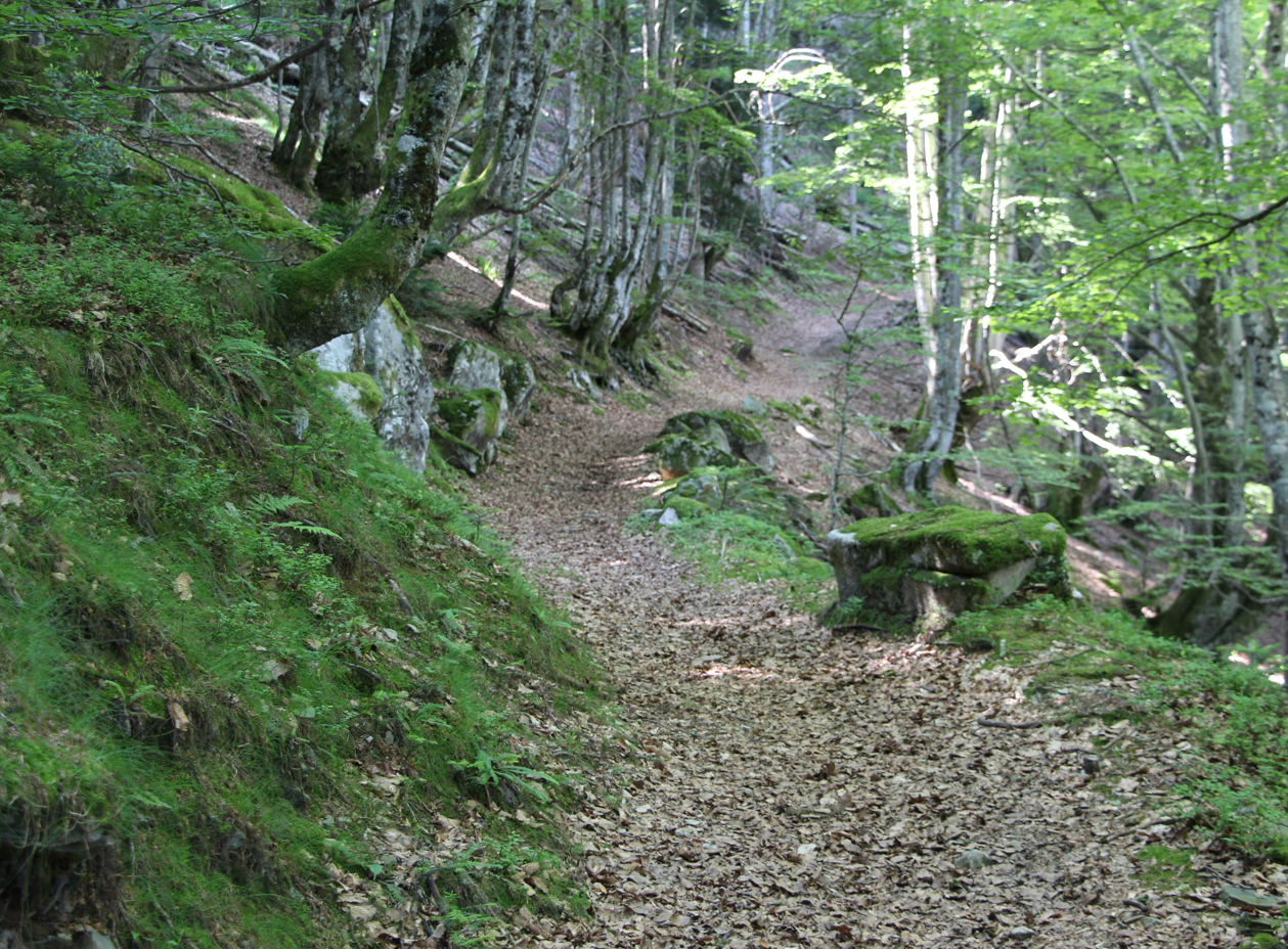 Parcours D – Serre des Auzères