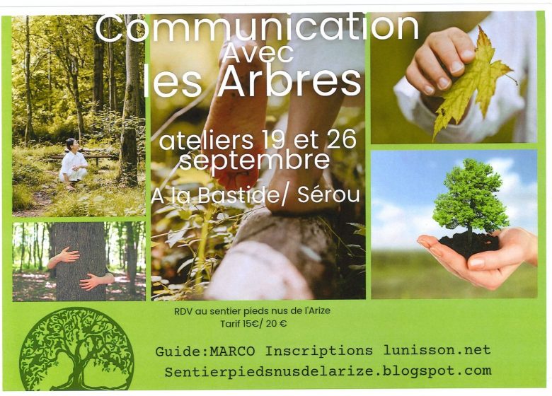 Communication avec les Arbres au Sentier Pieds Nus de l&rsquo;Arize_La Bastide-de-Sérou
