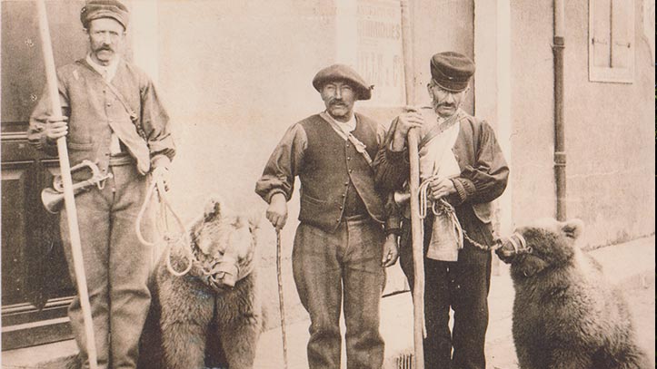Exposition Des Montreurs D Ours Couserans Pyrenees Exposition Des Montreurs D Ours Couserans Pyrenees